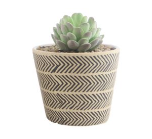 Maceta D3 Aguacate 12 cm