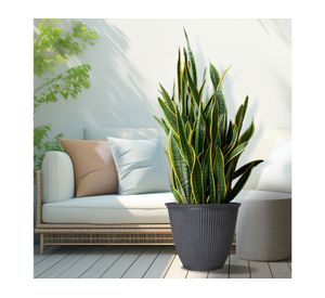 Maceta Billie gris 38.6 cm