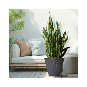 Maceta Billie gris 44.45 cm