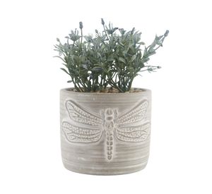 Maceta D1 Ajolote 12 cm