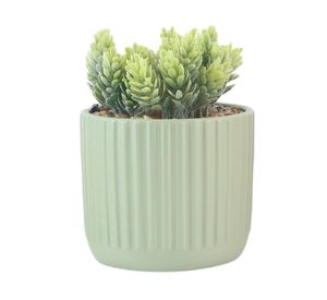 Maceta Amaranto verde 12 cm