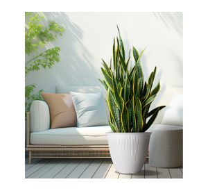 Maceta Billie blanco 48.8 cm