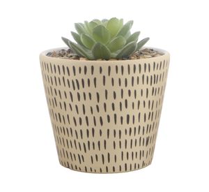 Maceta D2 Aguacate 12 cm