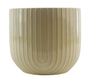 Maceta Agave 12x14 cm