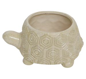 Maceta Tortuga 11x23x15.3 cm