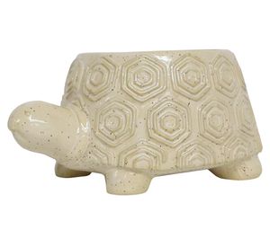 Maceta Tortuga 11x23x15.3 cm