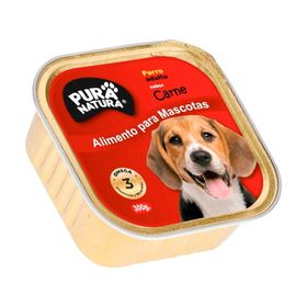 Alimento húmedo perro adulto Carne 300 g