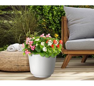 Maceta Porter Cotton 31 cm