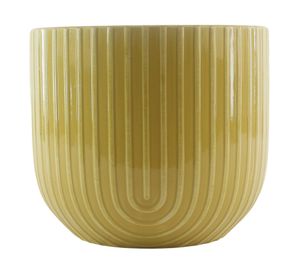 Maceta Agave mostaza 12x14 cm