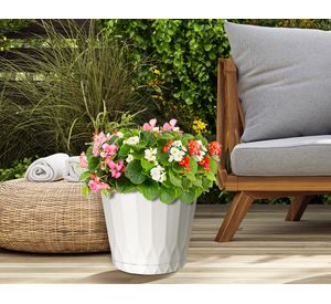 Maceta con plato coco 26.98 cm