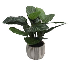 Planta artificial Calathea 48 cm