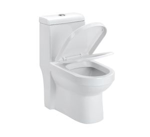 One piece 30 cm Dual flush asiento cierre suave Cala Vessanti