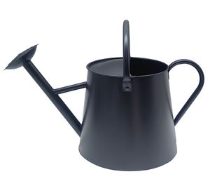 Regadera metálica negro