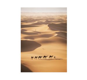 Lámina decorativa 70.8x50.8 cm D3