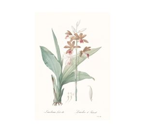 Lámina decorativa 100.8x70.8 cm D2