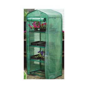 Invernadero mediano verde