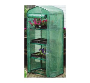 Invernadero mediano verde
