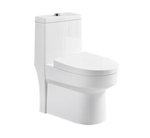 WC one piece a piso 30 cm 8019 blanco