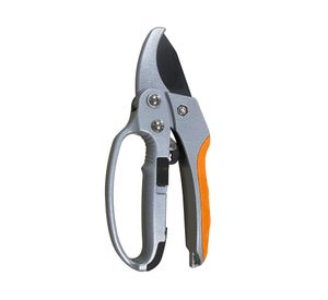 Tijera Bypass ratchet