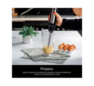 Minipimer Black EWMP02 400W