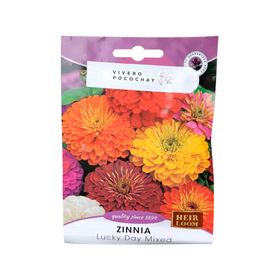 Semilla de flor corriente Zinnia Mix 3 g