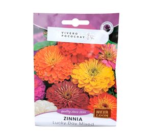 Semilla de flor corriente Zinnia Mix 3 g