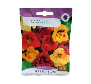 Semilla de flor corriente Nasturtium 5 g