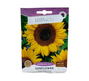 Semilla de flor corriente Girasol Mix 2 g