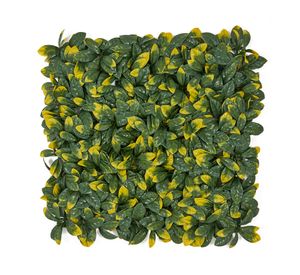 Jardín vertical Euonymus verde 50x50 cm