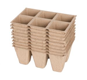 Almaciguera exhibidor propagación 10 unidades