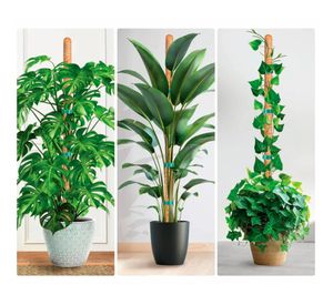 Tutor plantas fibra coco 62 cm