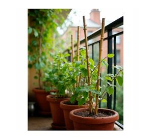 Tutor bambú para plantas 60 cm 5 un.