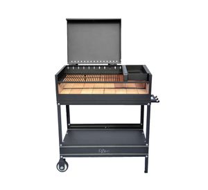 Parrilla con tapa Álamo 100