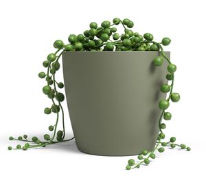 Maceta San remo mate verde ceniza 20 cm