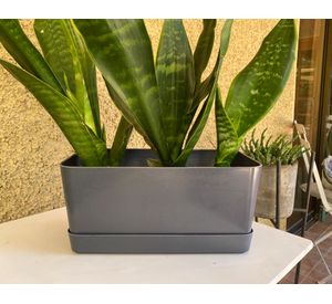 Jardinera biodegradable grafito 16x34x15 cm