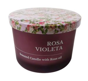 Vela Mundo 6 morado 8x11 cm