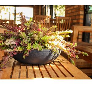 Maceta Europea baja plomo oscuro 20x55x51 cm