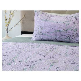 Quilt D14 Origins 1.5 Plazas