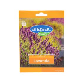 Semilla flor Lavanda 1g