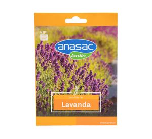 Semilla flor Lavanda 1g