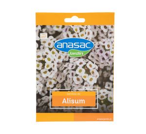 Semilla flor Alisum 1g