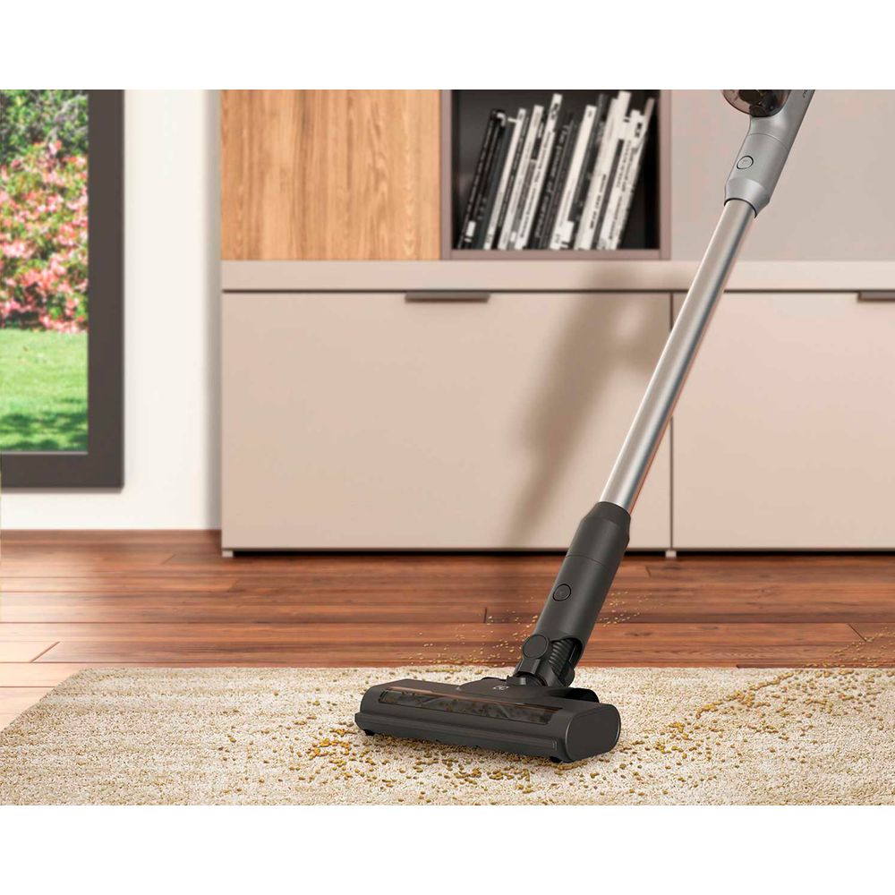 Electrolux Ergorapido PTEC100 Gris, foto 5