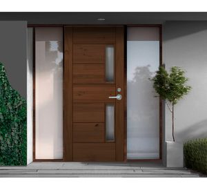 Puerta Empoli pintada 2 vidrios 70x200 cm