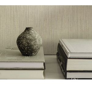 Papel mural Fibers 25851 liso 53x1000 cm