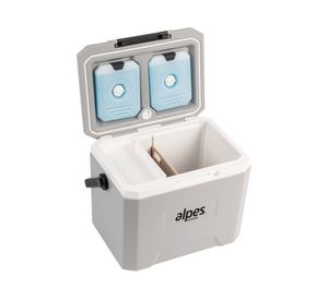 Nevera rígida gris 22 lt