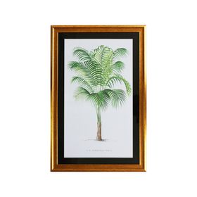 Cuadro Palmera chica 60x40x1.5 cm