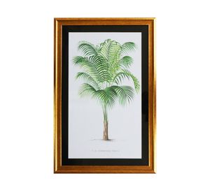 Cuadro Palmera chica 60x40x1.5 cm