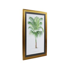 Cuadro Palmera chica 60x40x1.5 cm