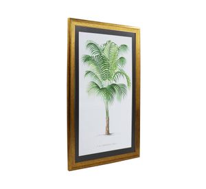 Cuadro Palmera chica 60x40x1.5 cm