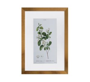 Cuadro planta Styrax 60x40x1.5 cm